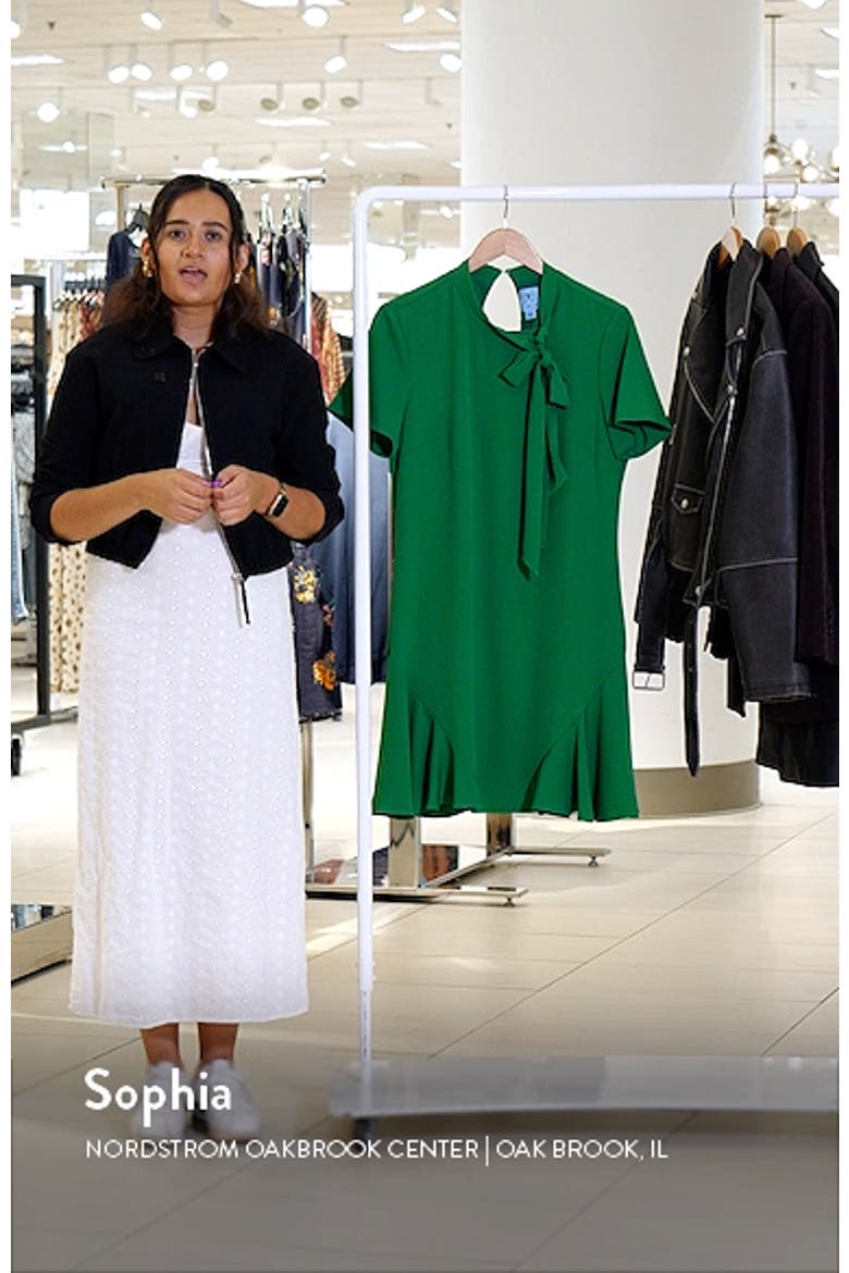 Bow Neck Short Sleeve Dress video