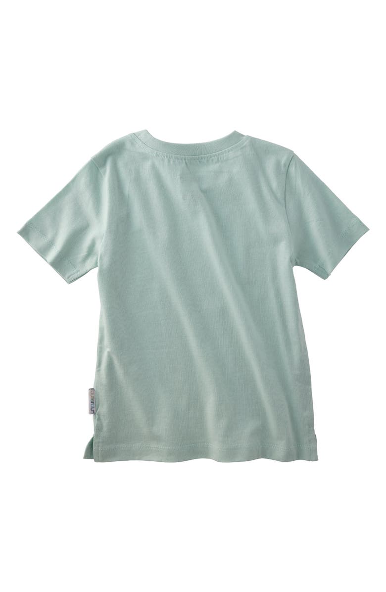 BUTTERBLU Taylor Organic Cotton T-Shirt, Alternate, color, Seafoam Terra Rainbow