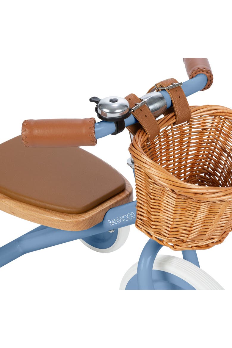 Trike, Alternate, color, Blue