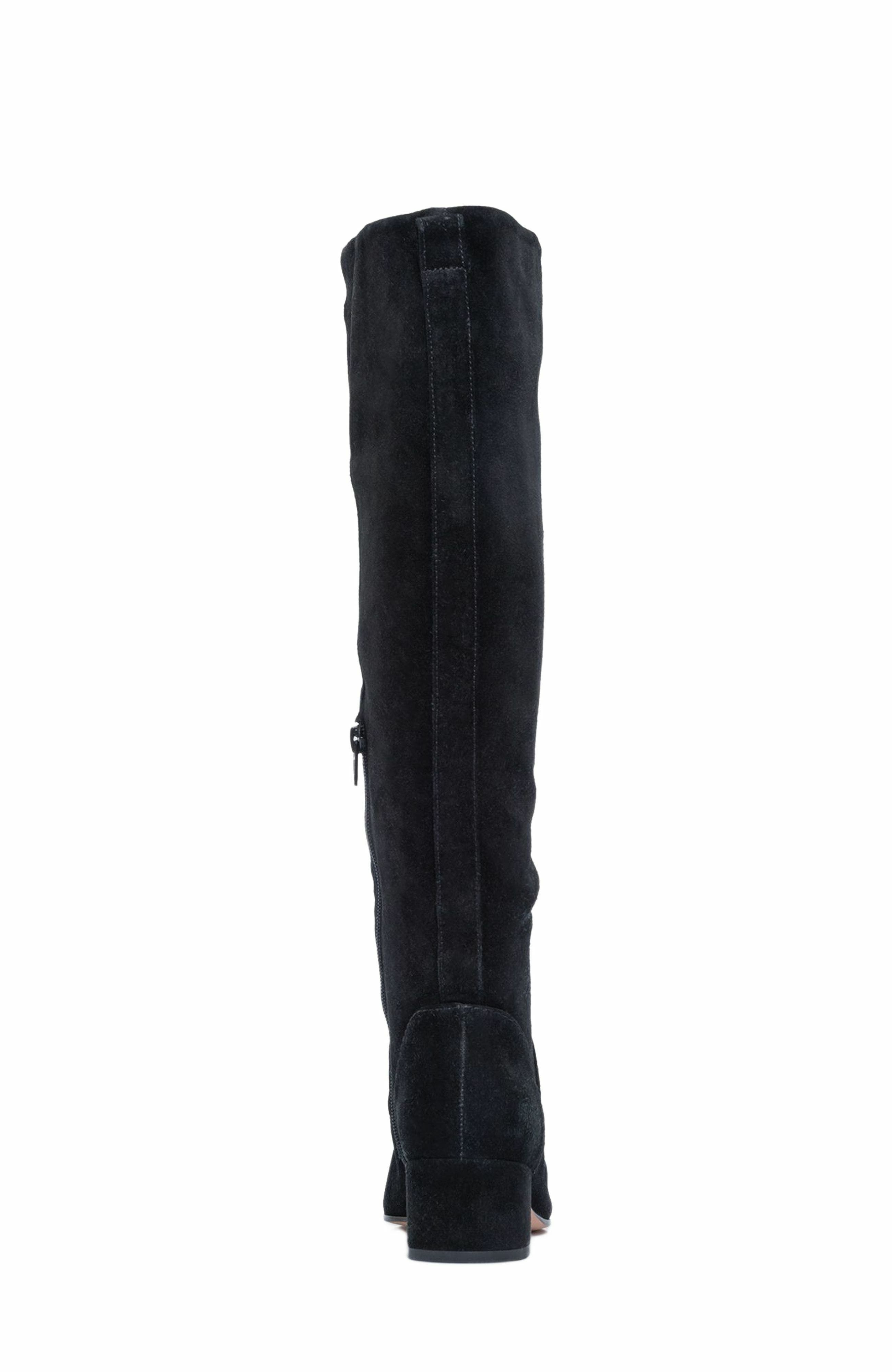 Bernardo Footwear Milano Knee-High Pointed Toe Boot, Alternate, color, 