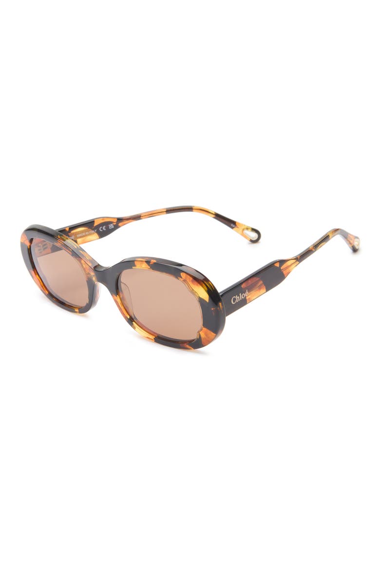 Oval Sunglasses, Alternate, color, HAVANA HAVANA BROWN