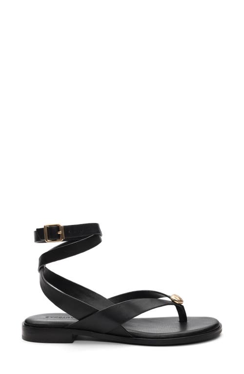 Sanctuary Style Ankle Strap Sandal In Black