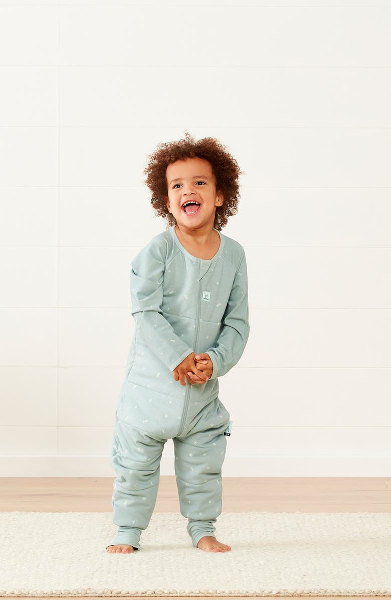 ergoPouch 2.5 TOG TOG One-Piece Sleep Suit, Alternate, color, Sage