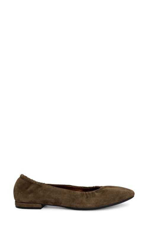 Aerosoles Antonia Flat In Multi