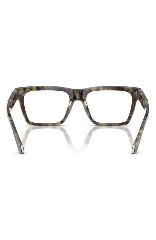 Versace Eyewear Eyewear In Havana