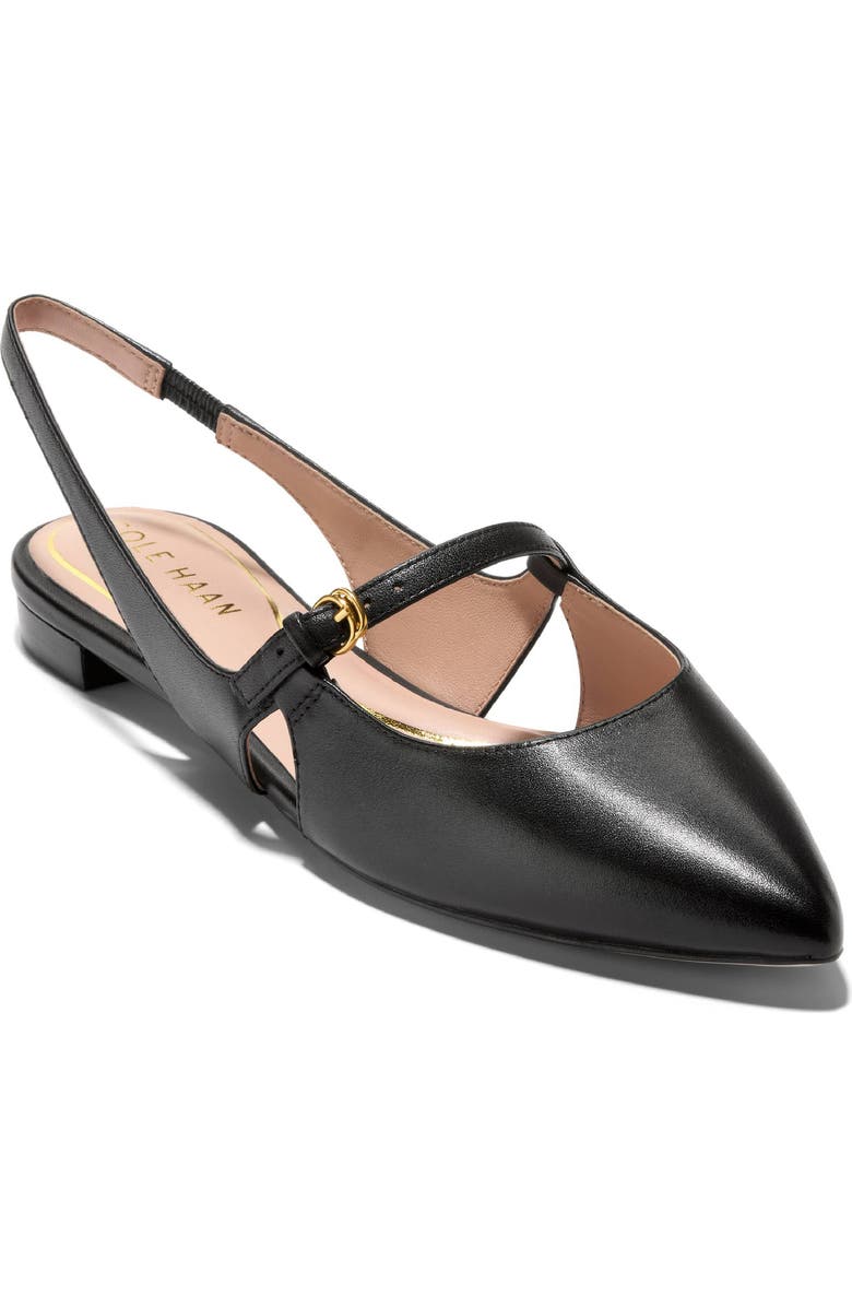 Cole Haan Anya Slingback Mary Jane Pointed Toe Flat, Main, color,