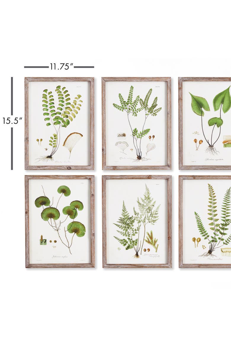 Shade Garden Study, Set Of 6, Alternate, color, Green