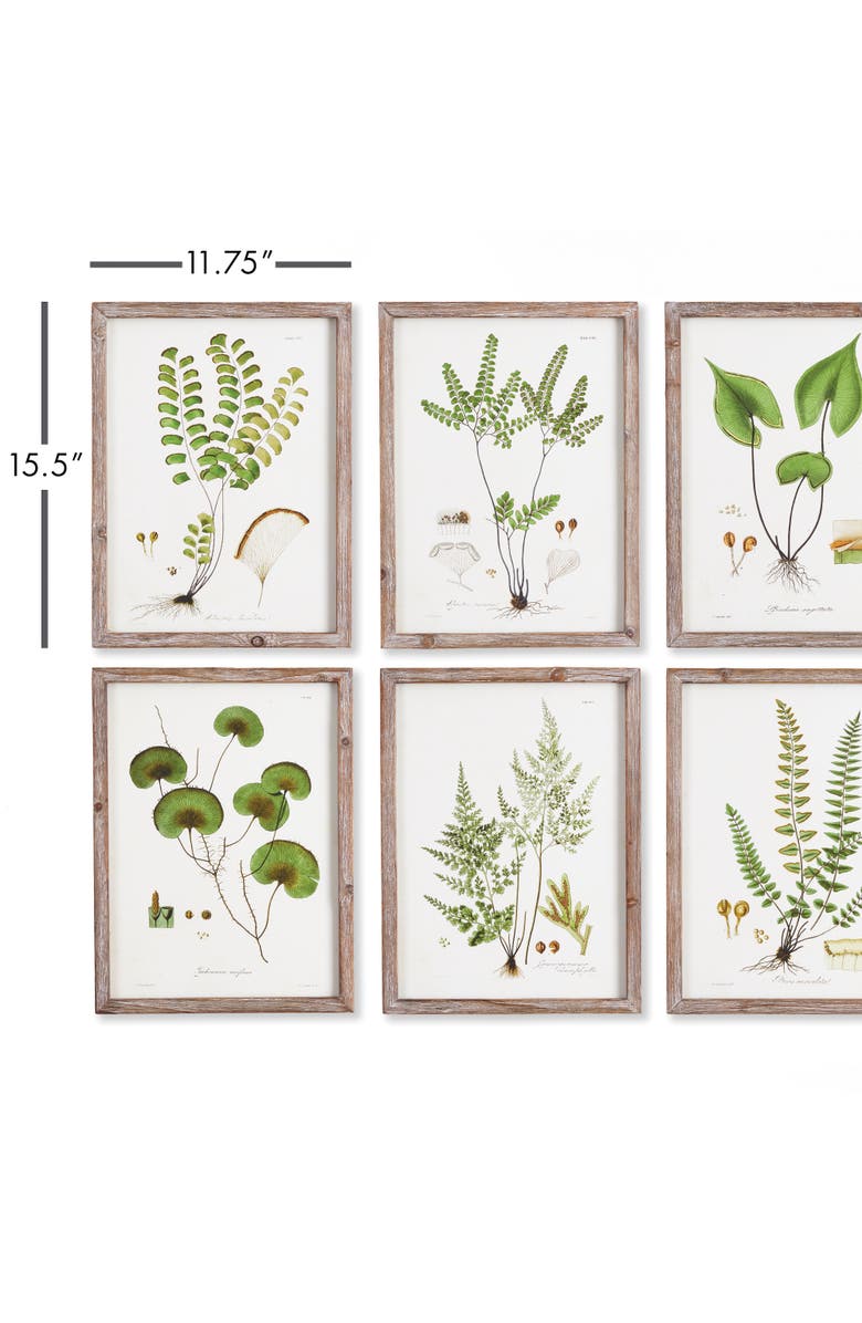 Napa Home & Garden Shade Garden Study, Set Of 6, Alternate, color, Green