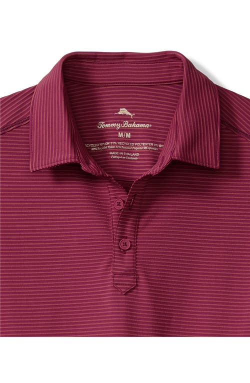 Tommy Bahama Costa Wave Polo In Burgundy
