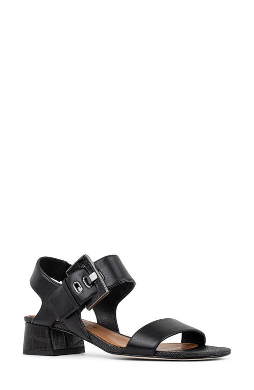 Donald Pliner Women Helen Black Dress In Black