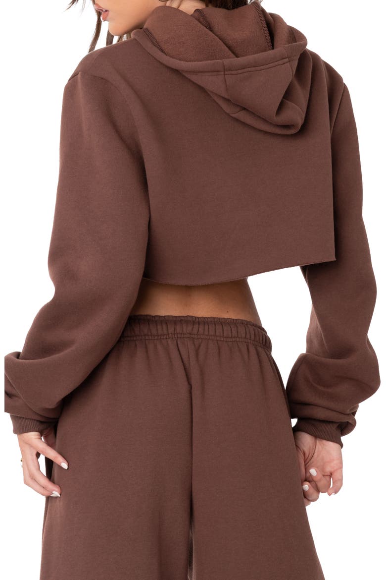 Brenna Crop Hoodie, Alternate, color, BROWN
