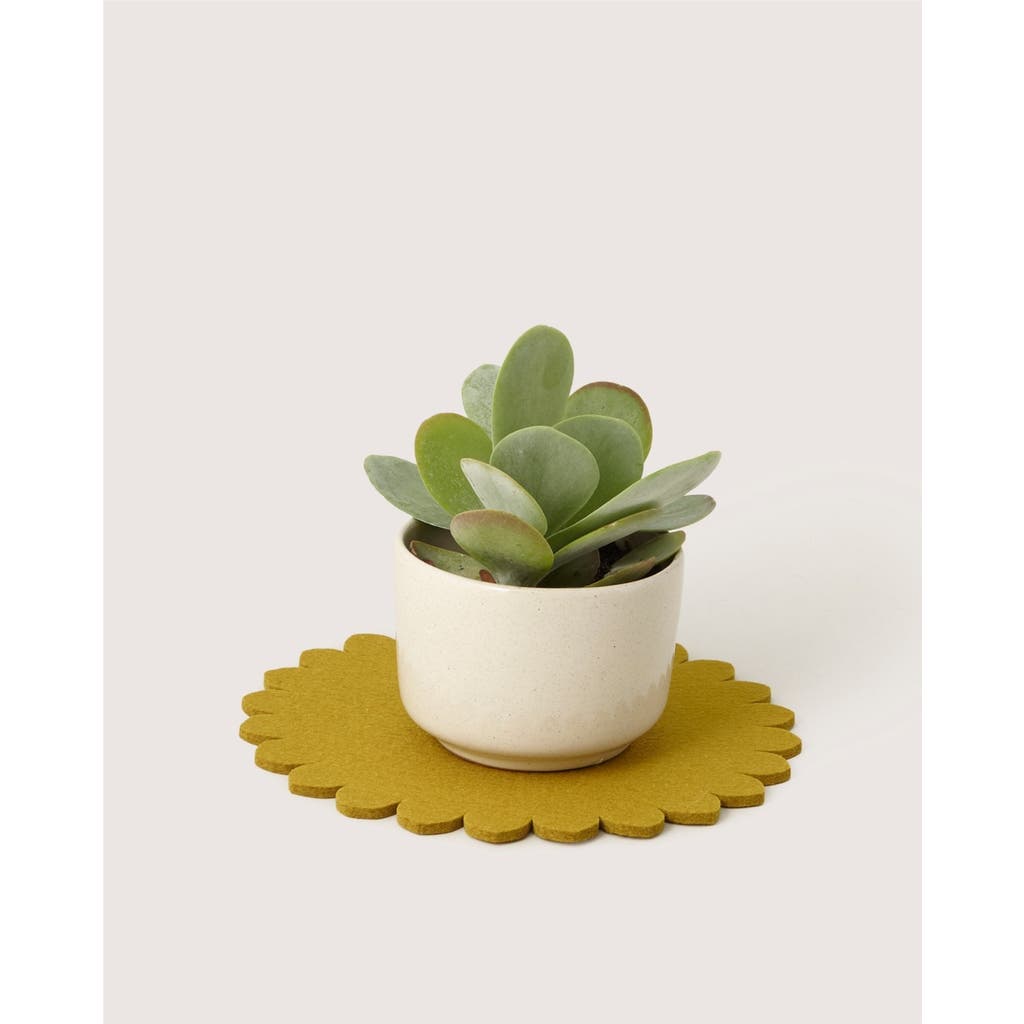 Graf & Lantz Graf Lantz Crest Merino Wool 10" Trivet In Yellow
