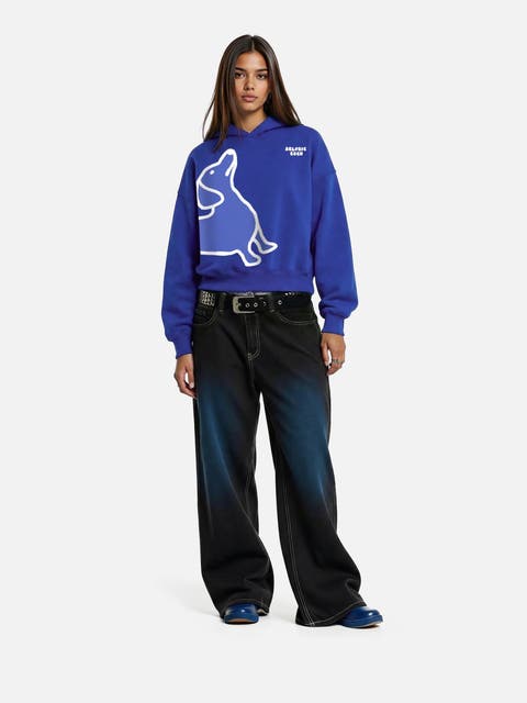 Boxy Dachshund Graphic Hoodie