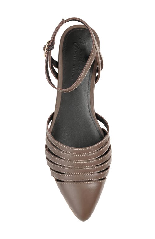 Journee Collection Dexie Strappy Pointed Toe Flat In Brown