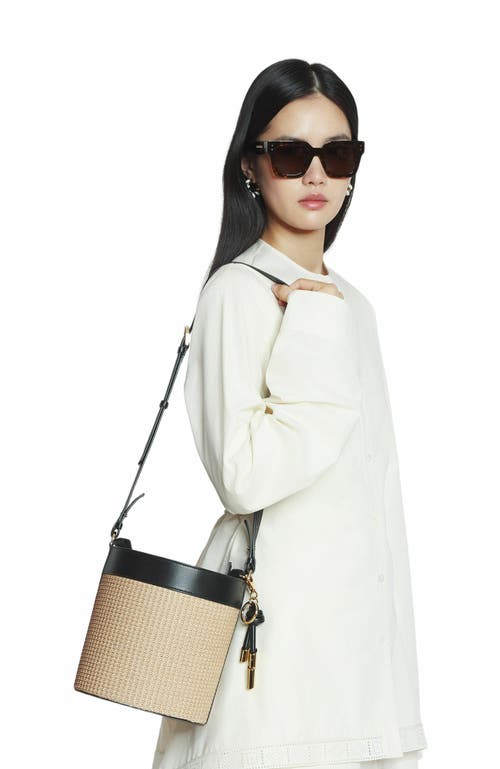 Lanvin Sequence Raffia Bucket Bag