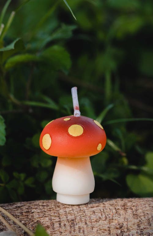 Southlake Gifts Mini Mushroom Candle Set In Red/orange