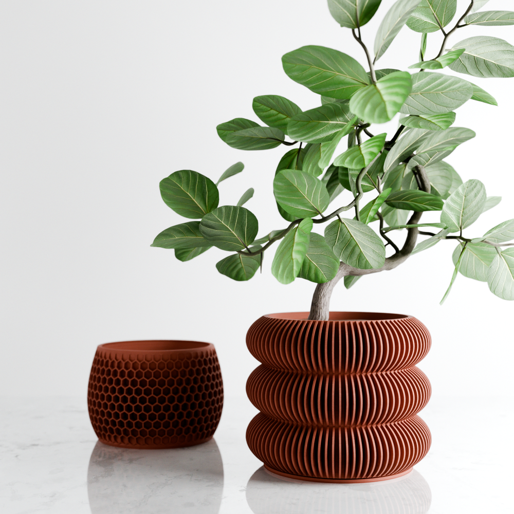 Terracotta - 6"
