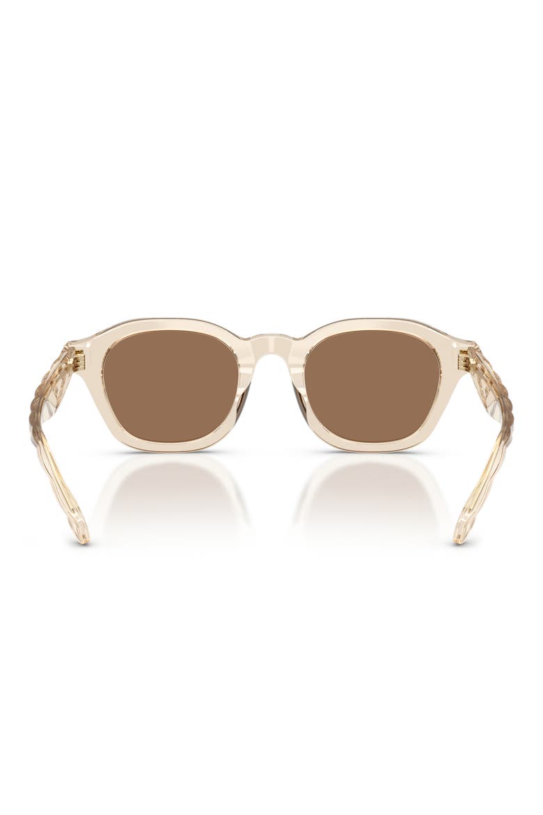 48mm Phantos Sunglasses, Alternate, color, TRANSPARENT BEIGE / BROWN