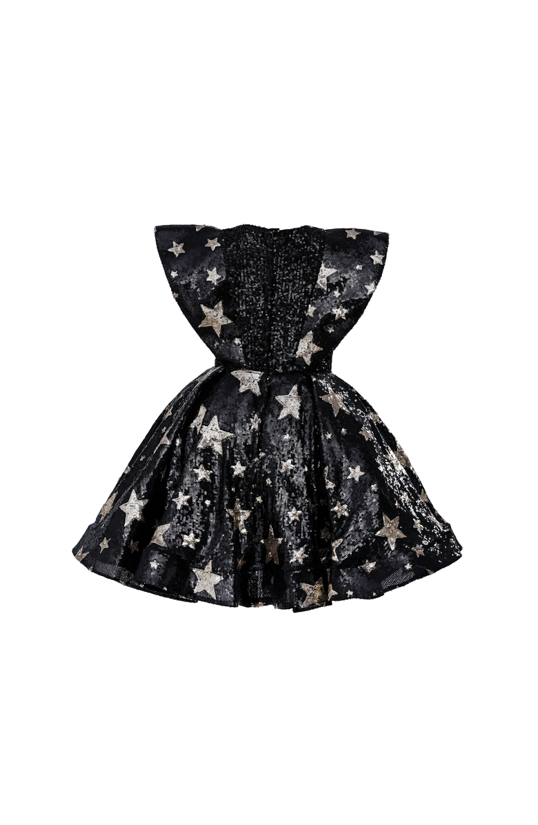 Tulleen Starlit Rivior Dress, Alternate, color, Black