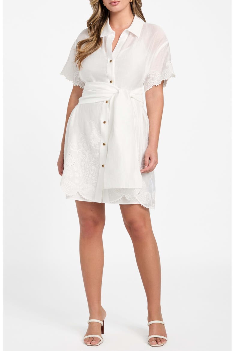 Mindy Embroidery Detail Mini Shirtdress, Main, color, WHITE PEAKS