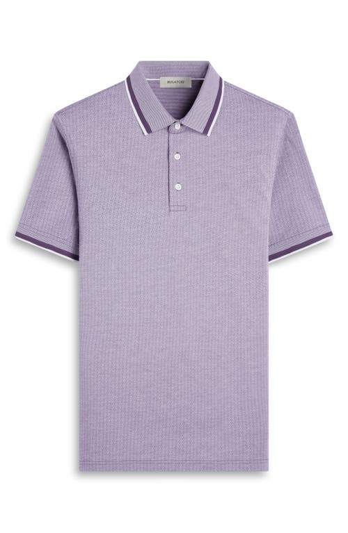 Bugatchi Speckled Bird's Eye Cotton Polo In Plum