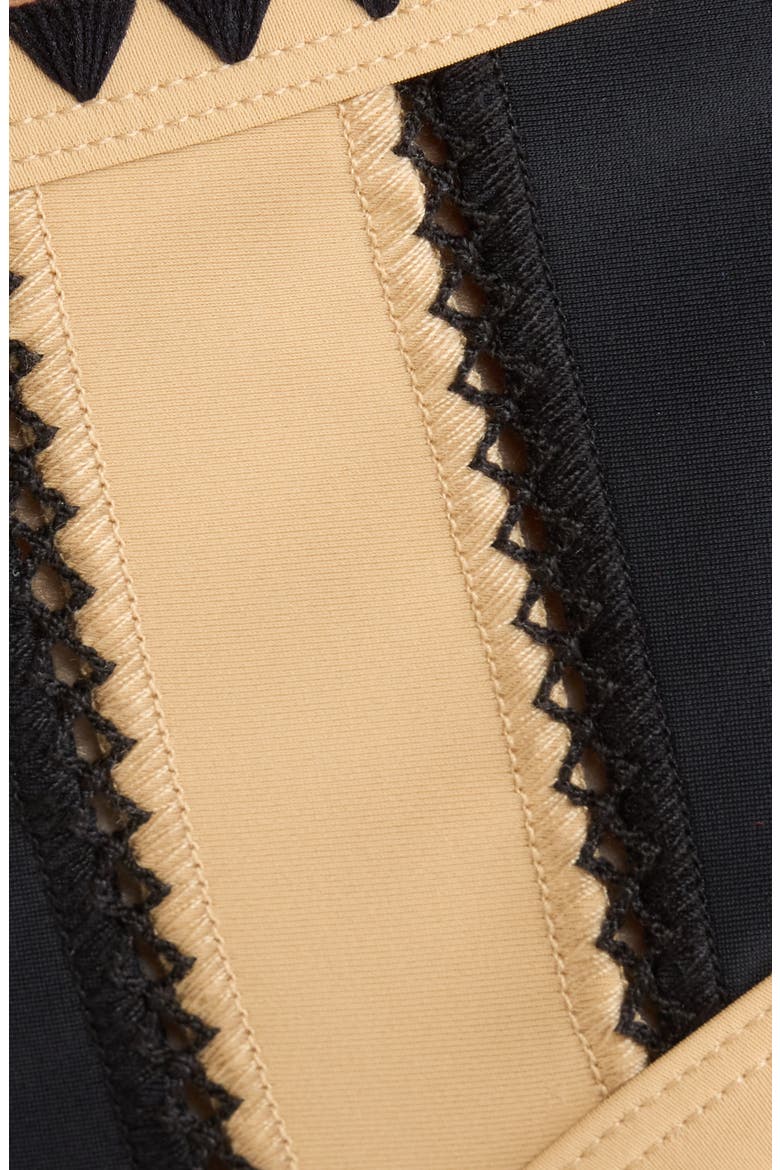 Mallory Embroidered Bikini Bottoms, Alternate, color, BLACK COLORBLOCK