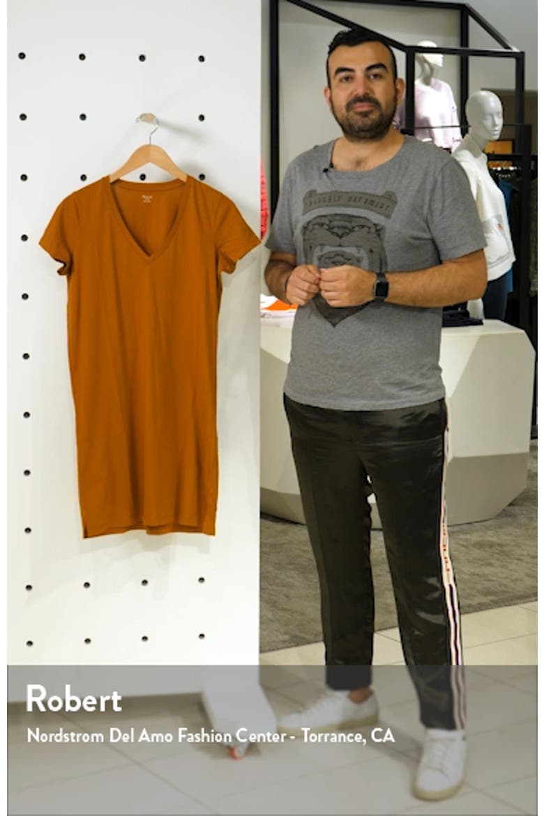 Northside V-Neck T-Shirt Dress video