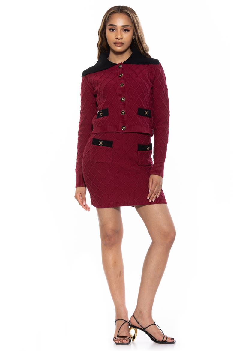 Pattern Knit Miniskirt, Alternate, color, BURGUNDY