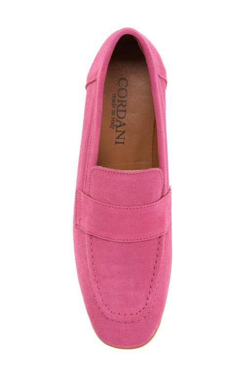 Cordani Ardelle Moc Toe Loafer In Fuschia Suede