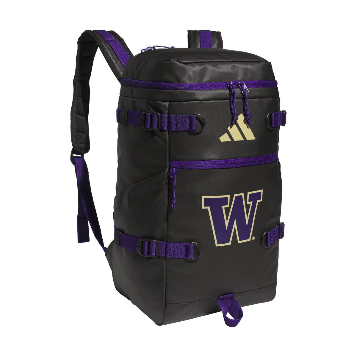 Washington Huskies Collegiate Vista Backpack, Main, color, Black