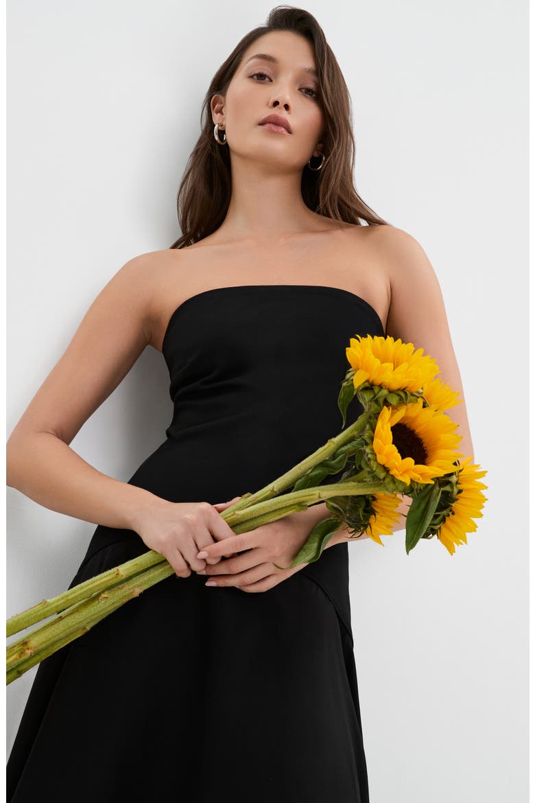 Aurora Strapless Drop Waist Dress, Alternate, color, BLACK