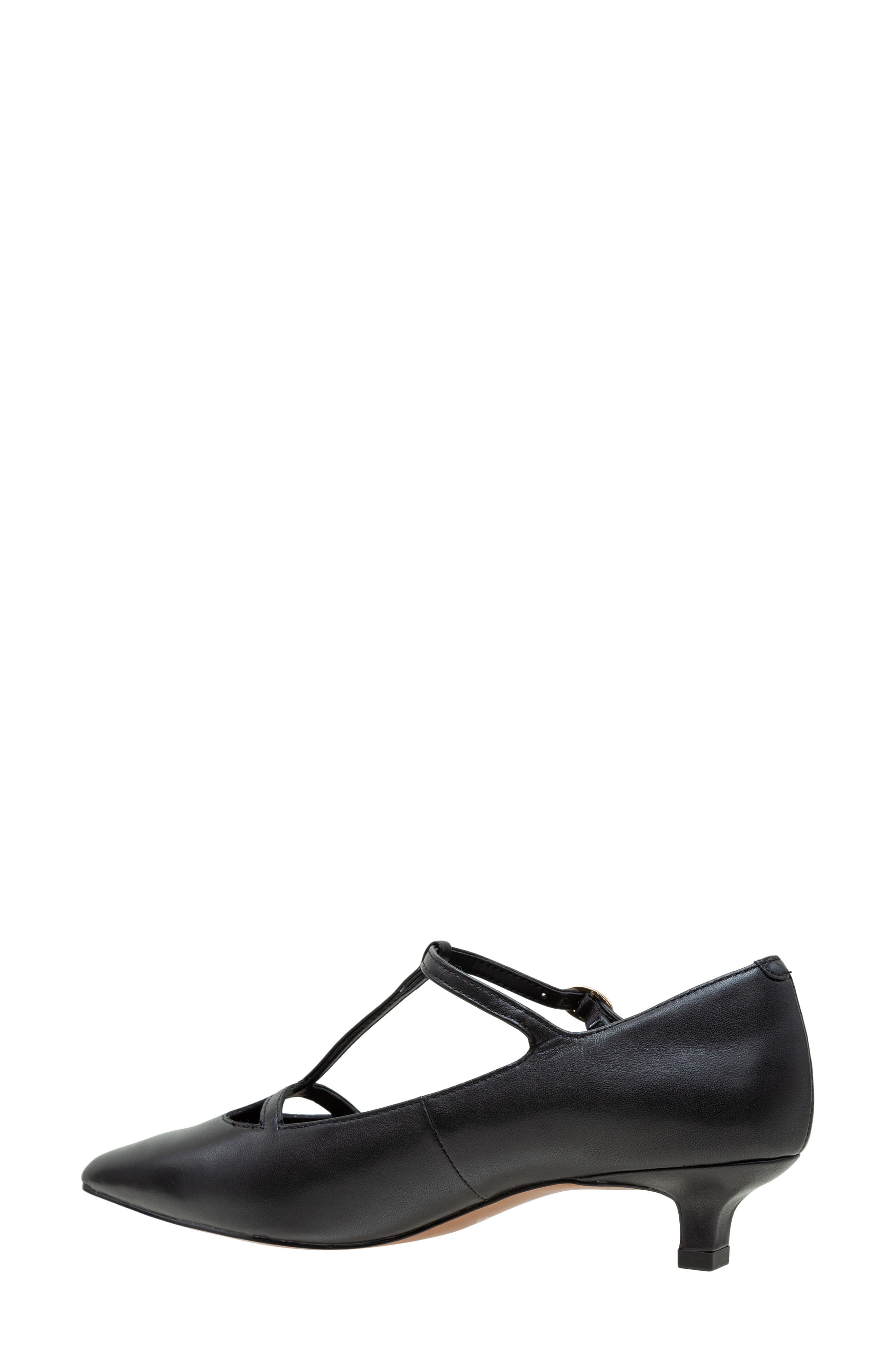Linea Paolo Celia Pointed Toe T-Strap Pump, Alternate, color, Black