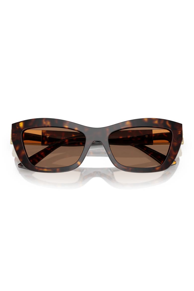 54mm Cat Eye Sunglasses, Alternate, color, HAVANA