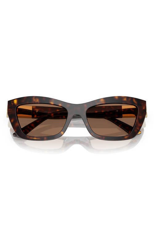 Jimmy Choo 54mm Cat Eye Sunglasses In Havana