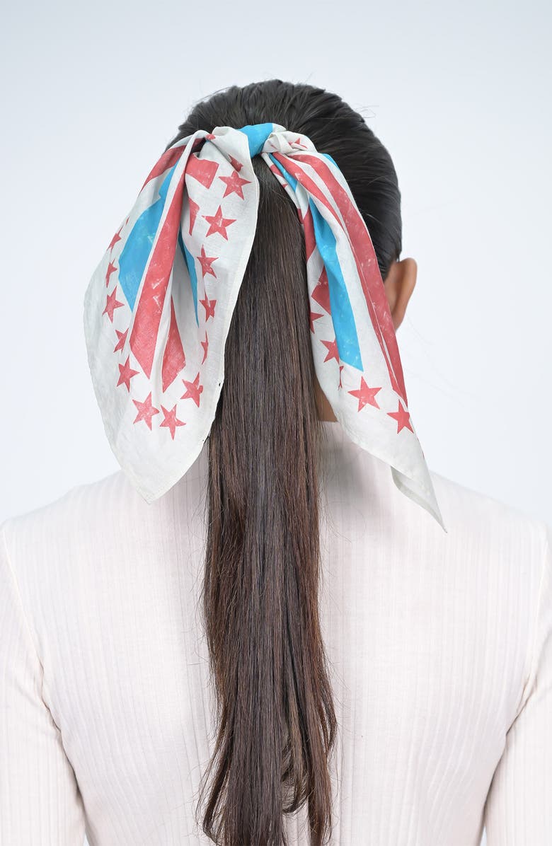 Vismaya 'I Voted' Cotton Scarf, Alternate, color, Blue