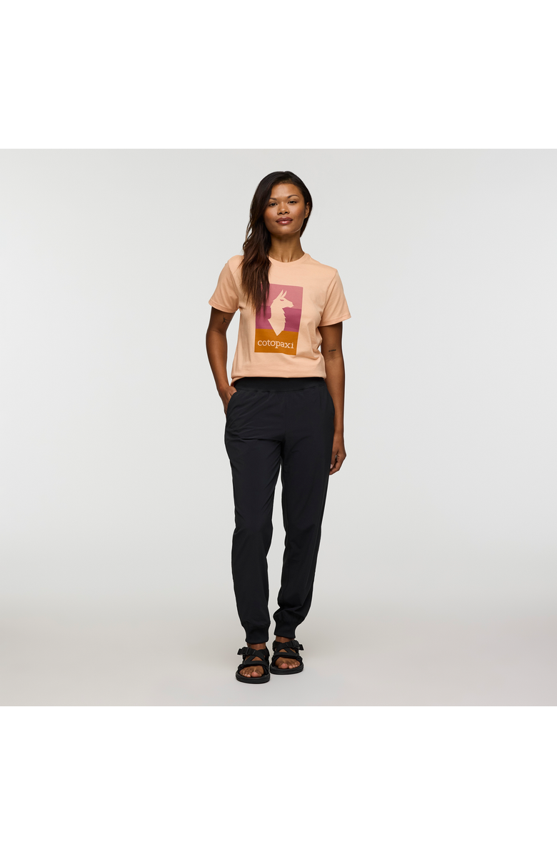 Cotopaxi Cambio Jogger - Women's, Main, color, Coffee