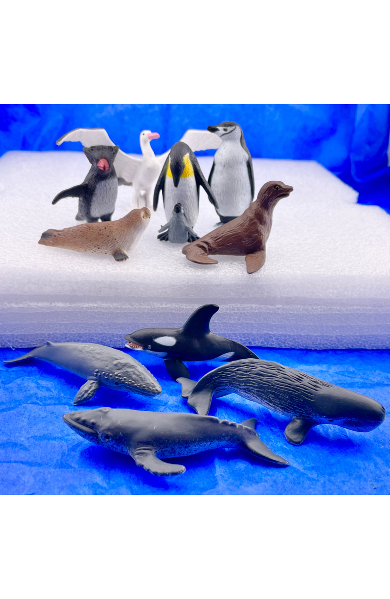 Safari Ltd. Antarctica Toy, Alternate, color, NO COLOR