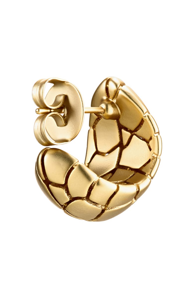 Zimmermann Byron Hoop Earrings, Alternate, color, Gold