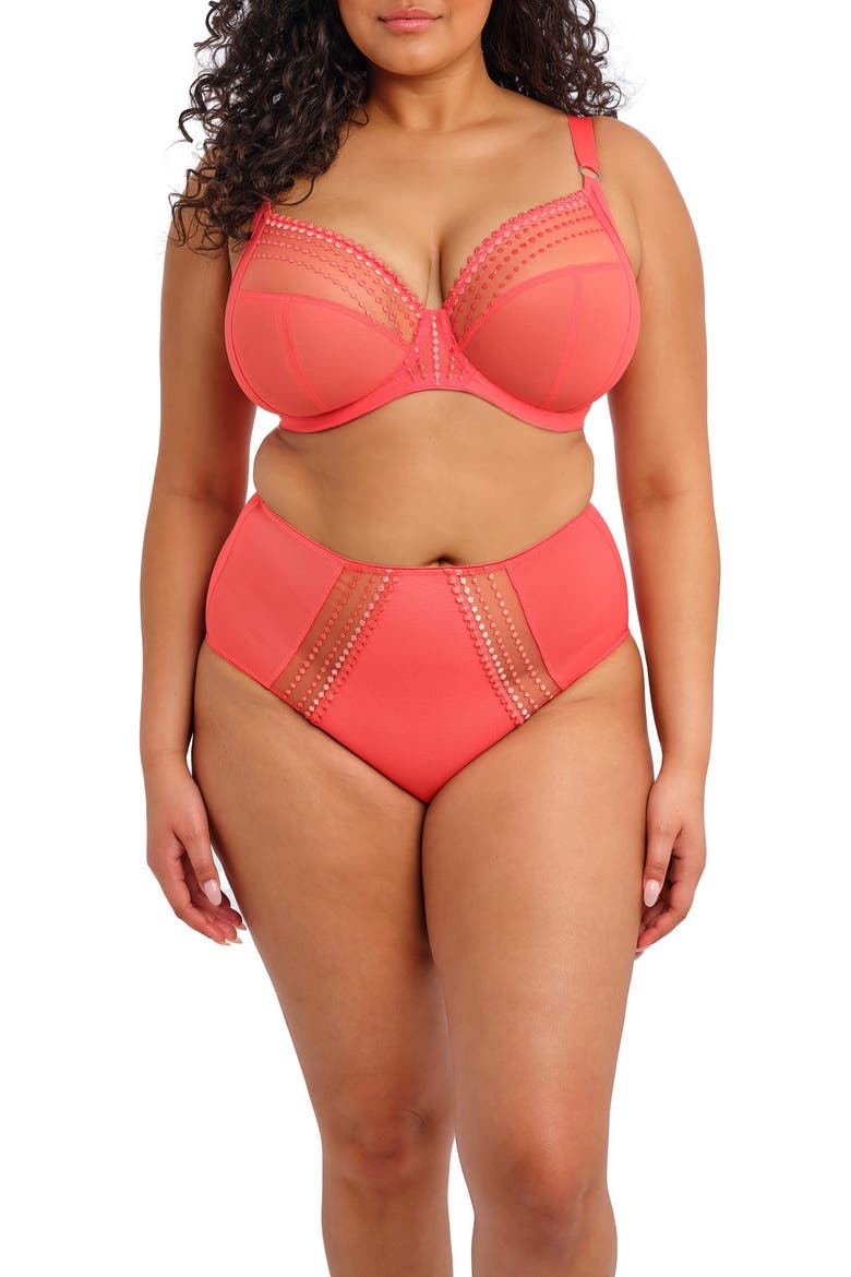 Matilda Full Figure Embellished Briefs, Alternate, color, SUNSET