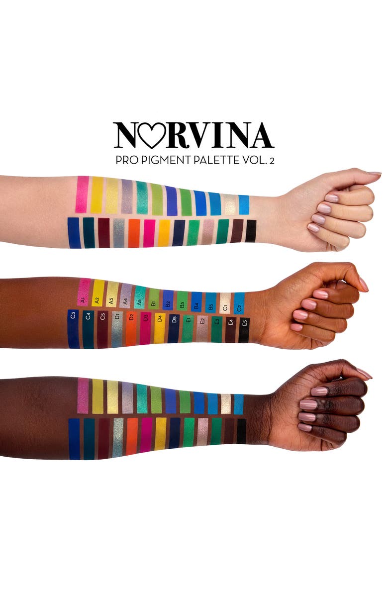 Anastasia Beverly Hills Norvina Pro Pigment Palette Vol. 2 Eyeshadow Palette, Alternate, color, 