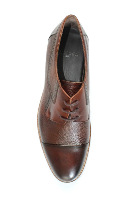 Vellapais Monroe Cap Toe Derby In Brown