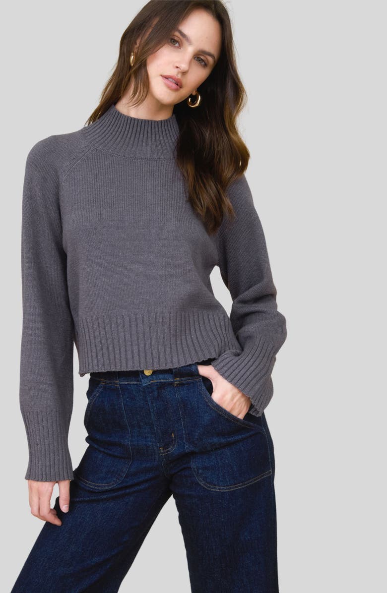 Blu Pepper Turtleneck Cozy Sweater, Alternate, color, Charcoal