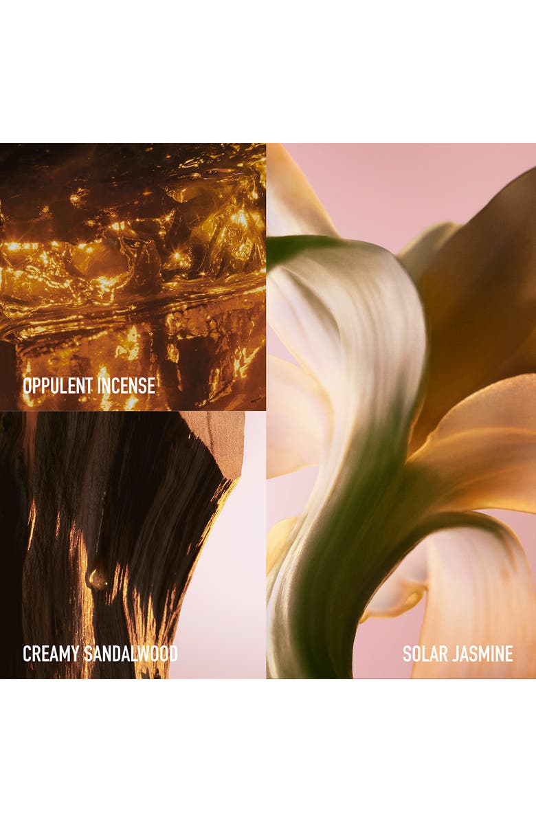 Rabanne Fame Eau de Parfum Intense, Alternate, color,