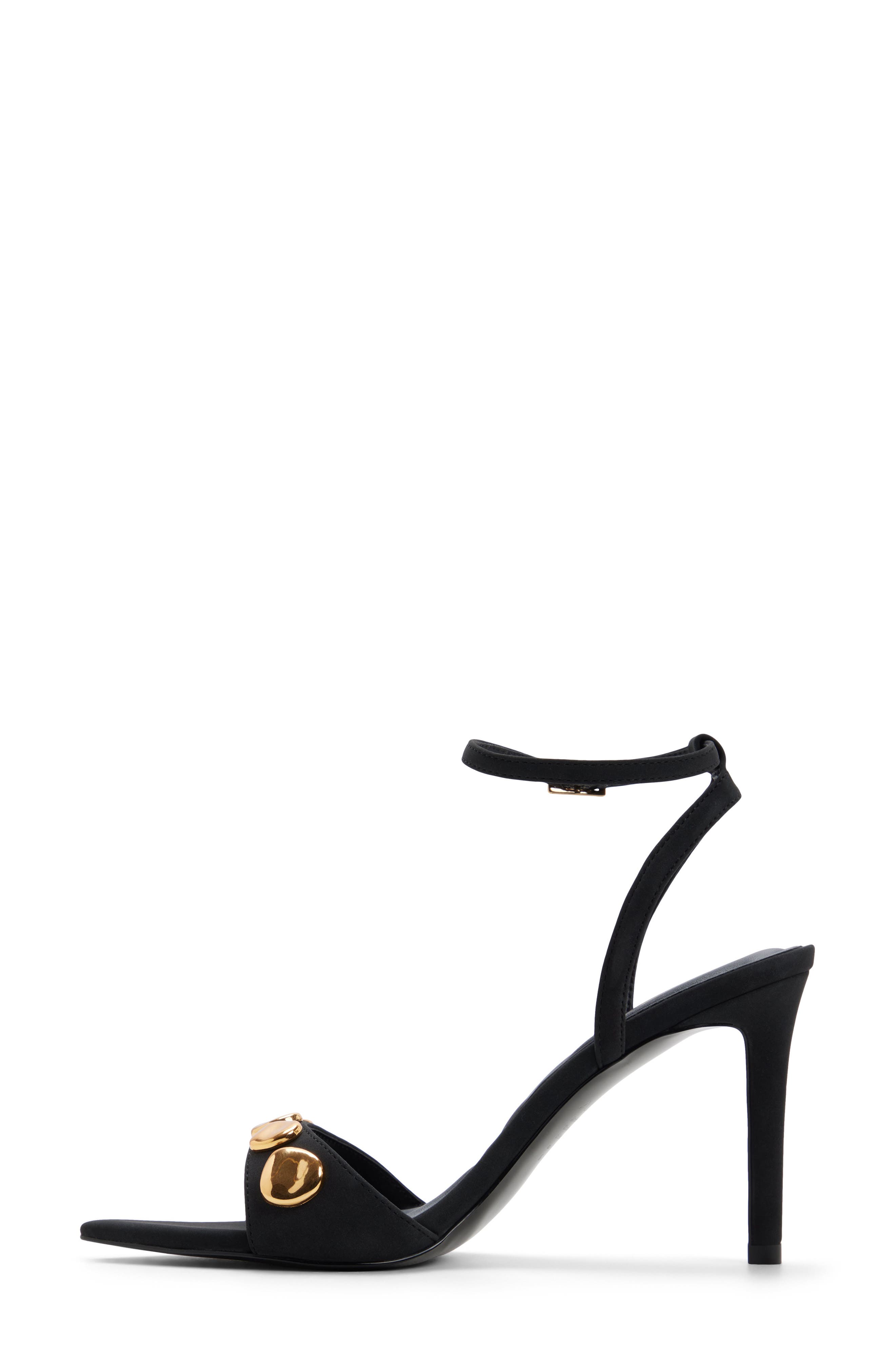 ALDO Leara Ankle Strap Pointed Toe Sandal, Alternate, color, Other Black