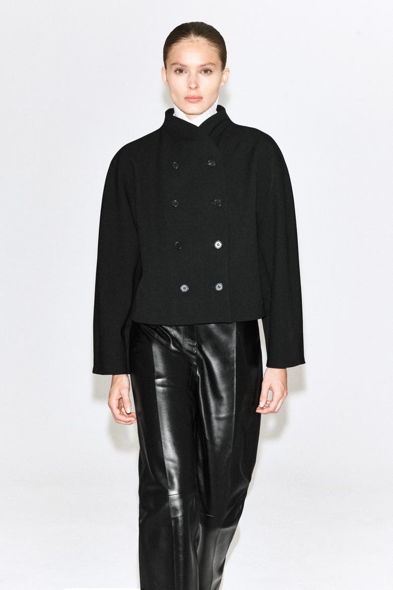 Sculpted Stand-Collar Jacket, Alternate, color, BLACK