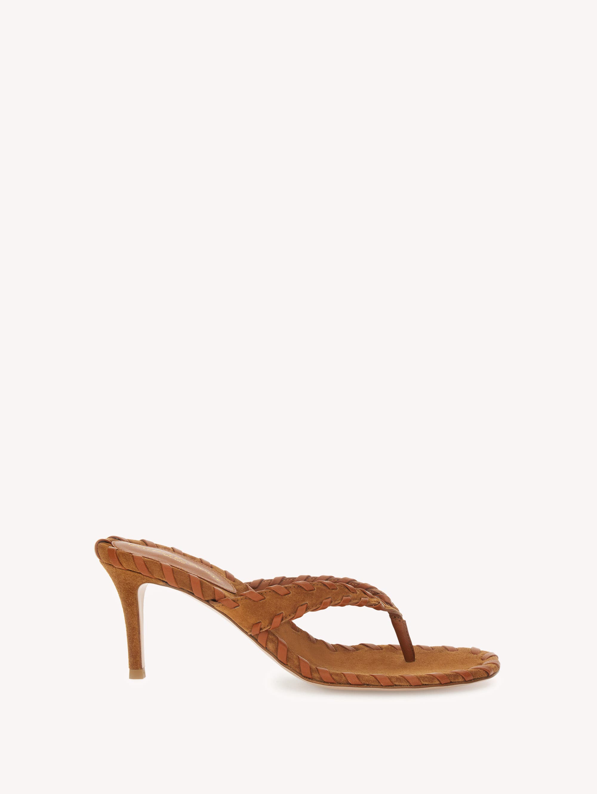Gianvito Rossi Zaira Thong Sandal, Main, color, Light Brown Suede
