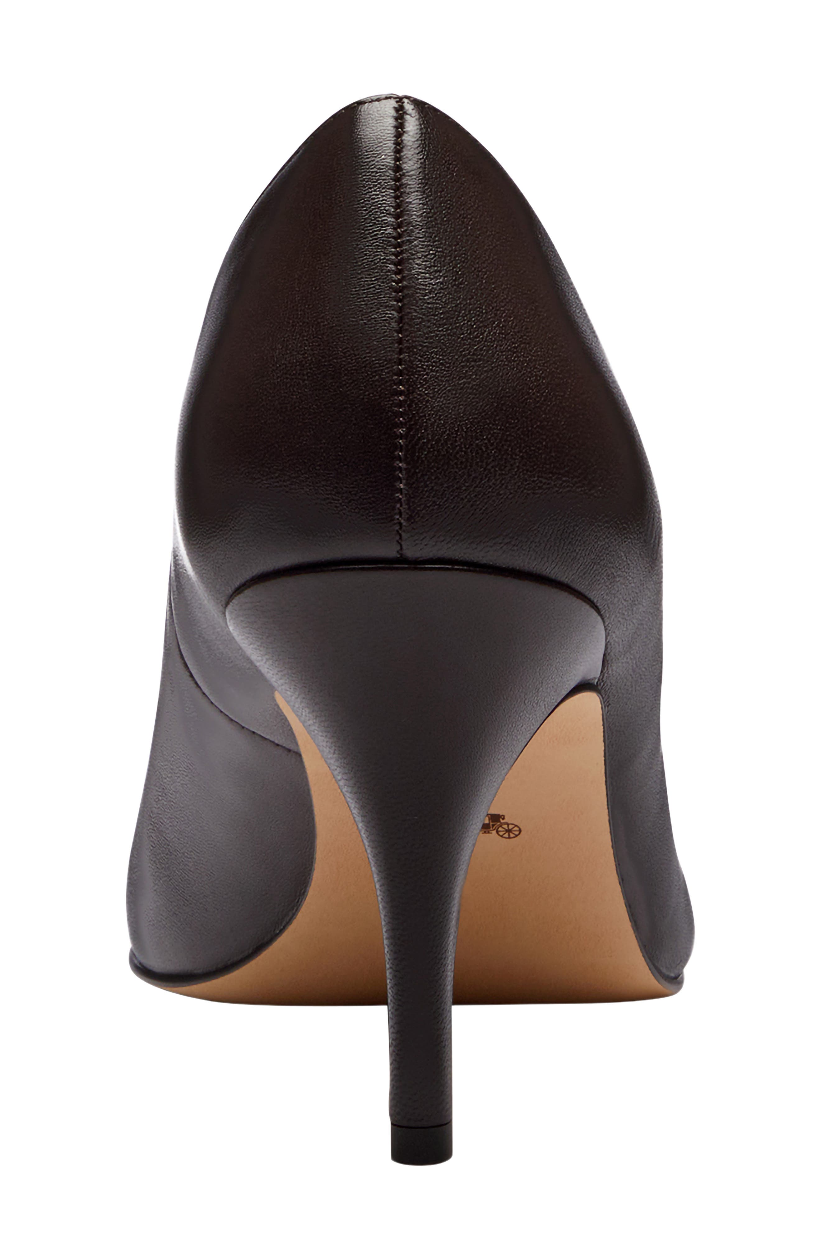Daisy Pointed Toe Pump, Alternate, color, CHOCOLATE