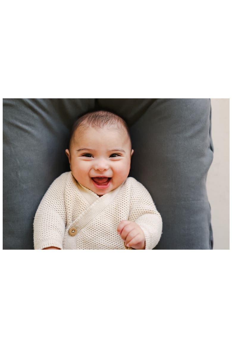 Infant Lounger & Cover Bundle, Alternate, color, SPARROW