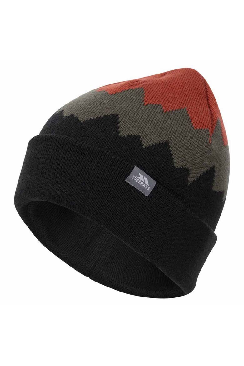 Cobbler Beanie, Main, color, Salsa and Ivy and Black