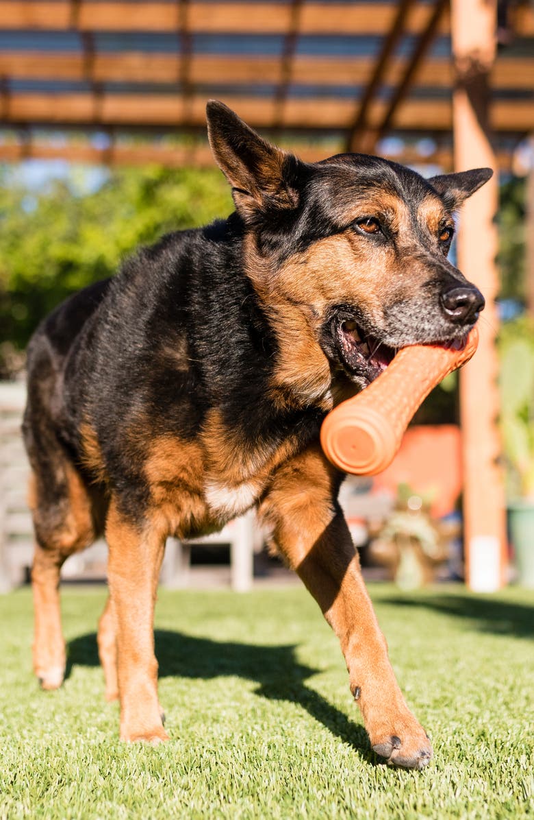 P.L.A.Y .  Nova Stick Dog Toy, Alternate, color, 